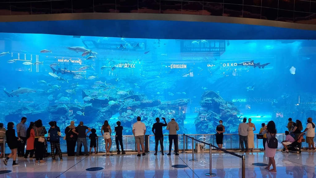 dubai-mall-attractions.